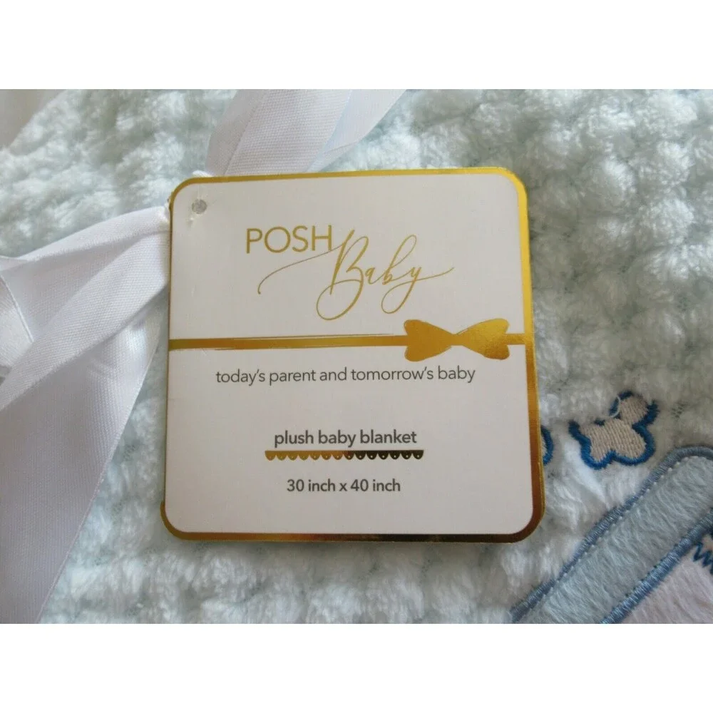 NWT Posh Baby Pale Blue BABY Blanket 30"x40" Soft Textured Sweet Baby Boy Train - Picture 4 of 8